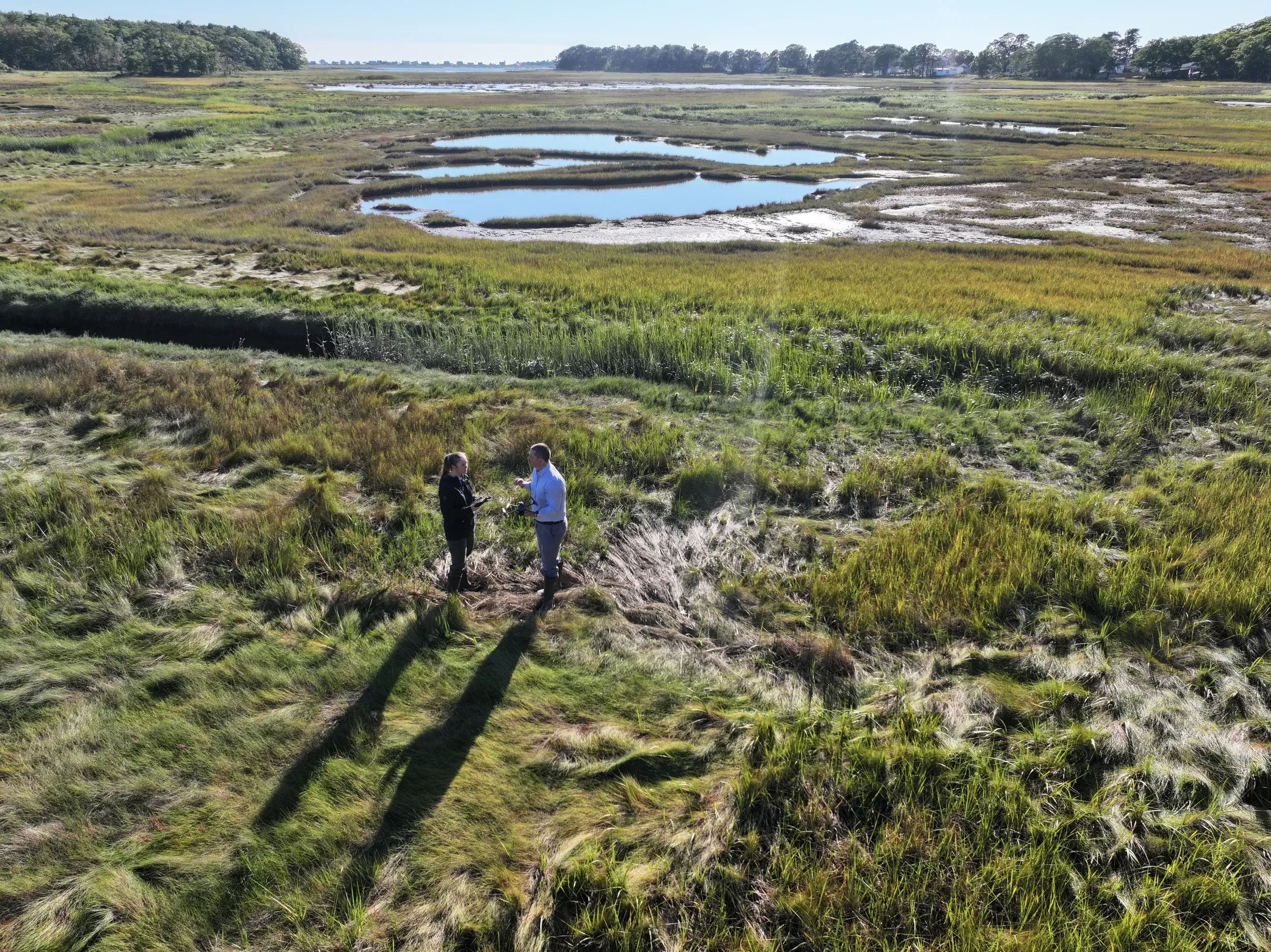 Katie DeWater and Will Kotchtitzky surveying megapools in a marsh next to the U N E Biddeford Campus.